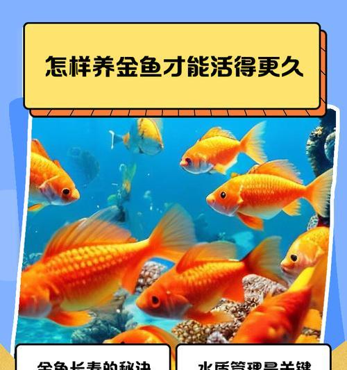 金鱼褪色了，还能活吗？（探究金鱼褪色原因及其对鱼的生存的影响）