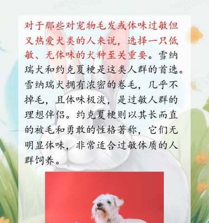 消除阿拉斯加犬体味的有效方法（清新犬气，舒享相伴）