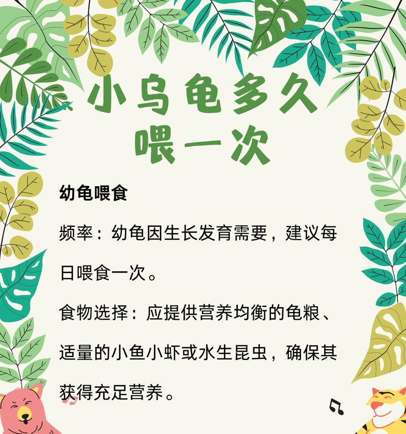 正确喂食乌龟的方法（养乌龟需要注意的事项）
