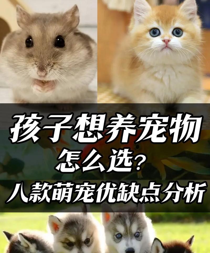 以袖珍宠物为你的选择（哪些袖珍宠物适合作为宠物养？）