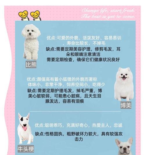 以泰迪出生多久可以开始梳毛？（探索泰迪犬毛发生长周期，合理进行梳毛护理）