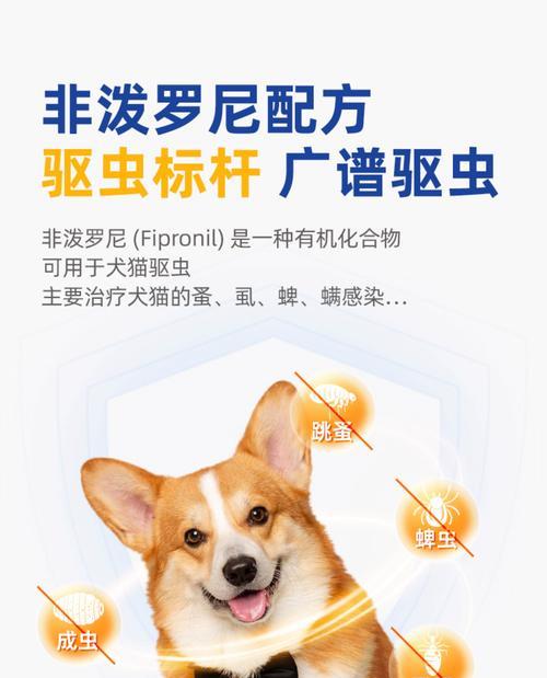 猫咪内驱后多久才能进食？（探究猫咪内驱后进食时间的因素和影响）