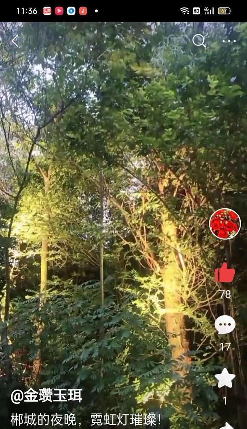 郑州市适合养的狗品种（了解郑州市适宜养的狗狗，选择最适合你的宠物伴侣）