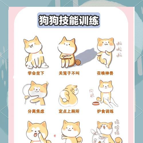 探究狗狗憋尿的时间限制（了解狗狗尿液憋压能力及影响因素）