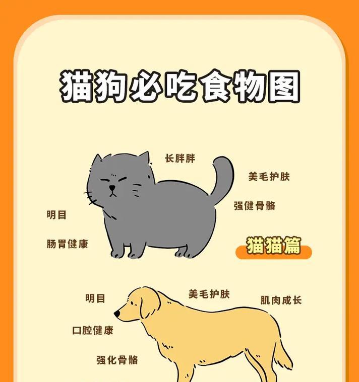 小猫不能吃的食物（宠物猫的饮食禁忌与注意事项）
