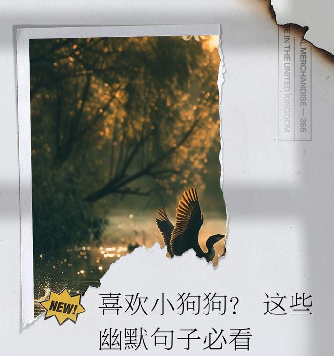 狗狗的真心喜欢你？如何判断？（15个行为揭示狗狗对你的爱意，准没错！）