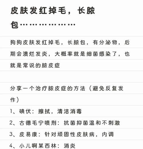 狗狗传染病菌给人的危险性剖析（了解狗狗传染给人的常见疾病及预防措施）