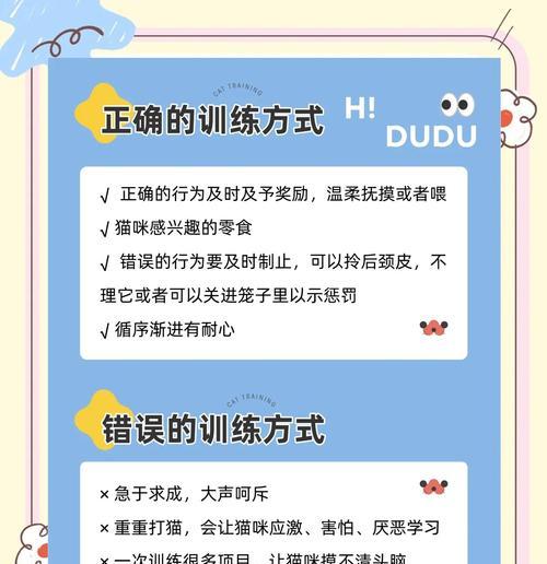 猫的训练需要多久？（探索训练猫咪需要的时间和技巧）