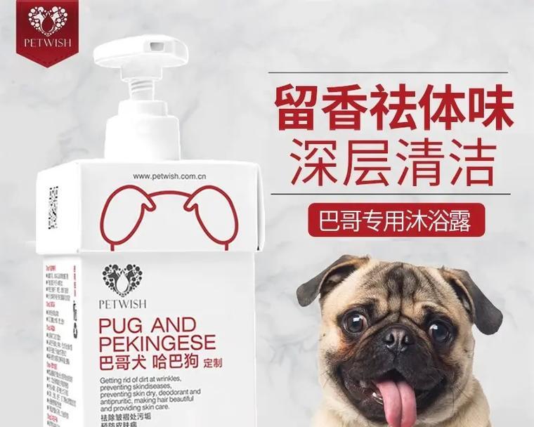 巴哥犬洗澡的频率和应对怕洗澡的方法（巴哥犬洗澡的最佳频率和如何解决它们对洗澡的恐惧问题）