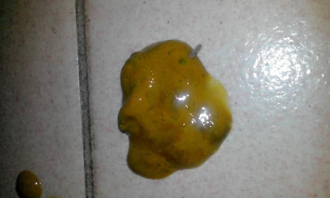 如何科学地给泰迪喂食（以泰迪的便便情况为主题，了解日常喂食注意事项）