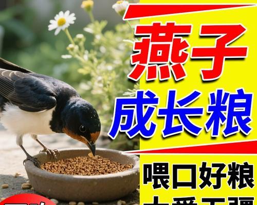 鸟类饮食指南（营养丰富的食物，让你的鸟儿健康快乐）