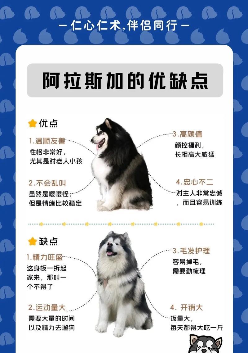 阿拉斯加犬乳牙的发育过程（探索阿拉斯加犬成长的奥秘）