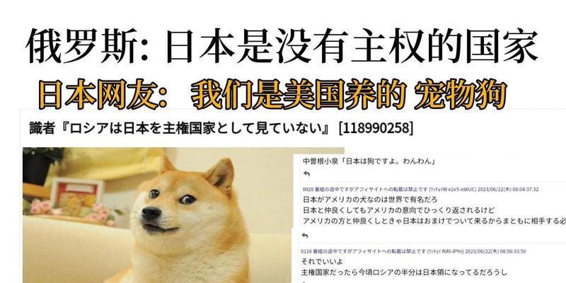美国的狗国家（宠物犬天堂——美国的狗国家）