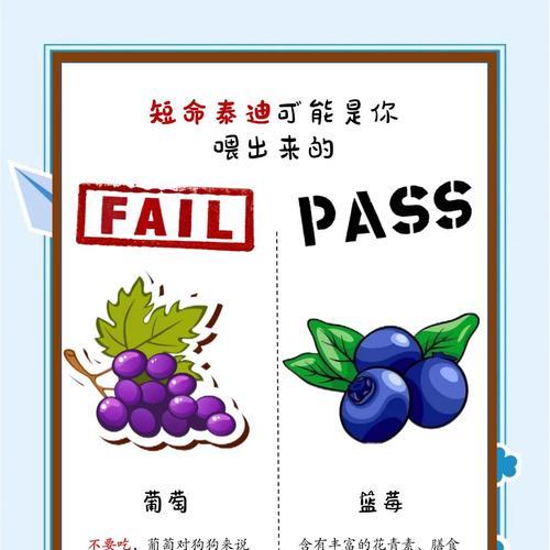 科学喂食狗狗，健康无忧（如何计算狗狗的适量食量，避免伤害）