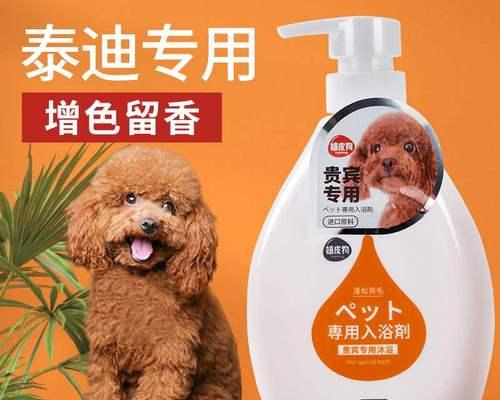 泰迪狗的洗澡时间和方法（了解泰迪狗洗澡的最佳时机及正确的方法）
