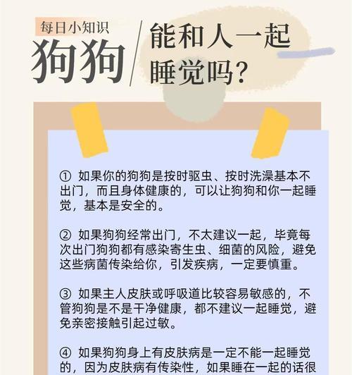 狗的睡眠需求（揭秘狗狗的睡眠习惯和理想睡眠时间）