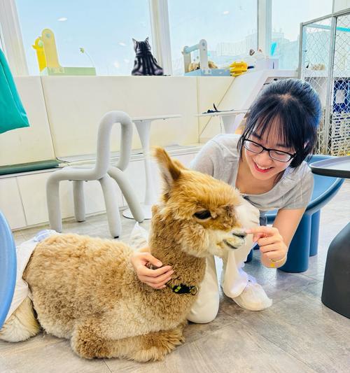 冬天中哪些动物最怕冷？（探寻动物世界中的冬季保暖奥秘）