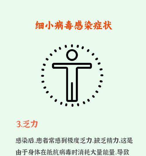 病毒的存活时间（探索病毒生存之谜，了解细小病毒在人体上的存活时间）