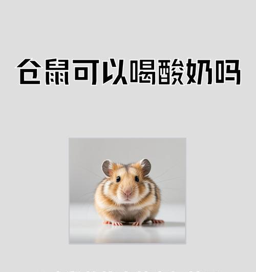 仓鼠喂水频率的正确选择（探讨仓鼠水源的补给策略及喂水周期）