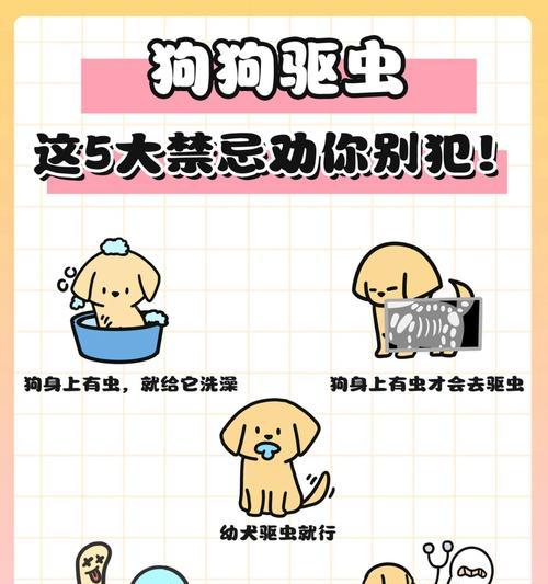 如何有效清除狗狗体内的白色寄生虫（三招帮助你轻松解决狗狗体内的寄生虫问题）