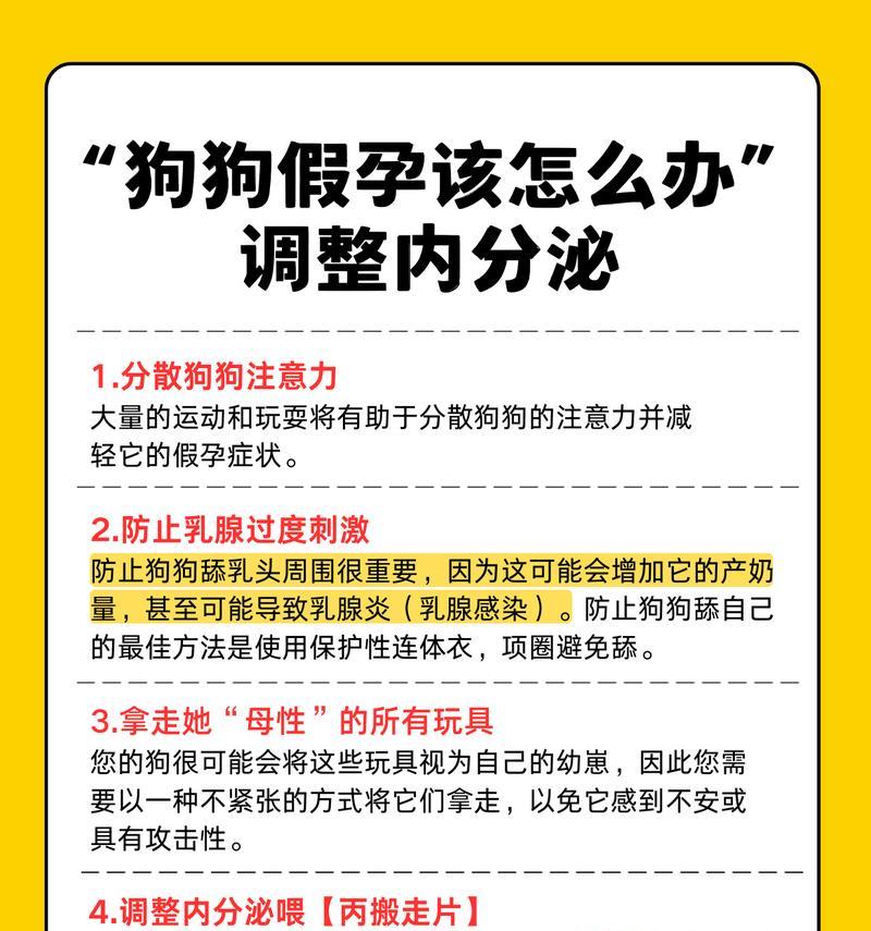 狗狗怀孕多久肚子会疼（了解狗狗怀孕期间的不适症状及处理方法）
