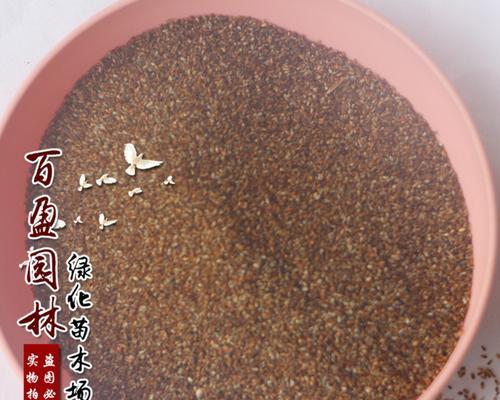 揭秘画眉洗澡药，你知道都有哪些吗？（探索画眉洗澡药的种类和应用范围，了解行业发展现状）