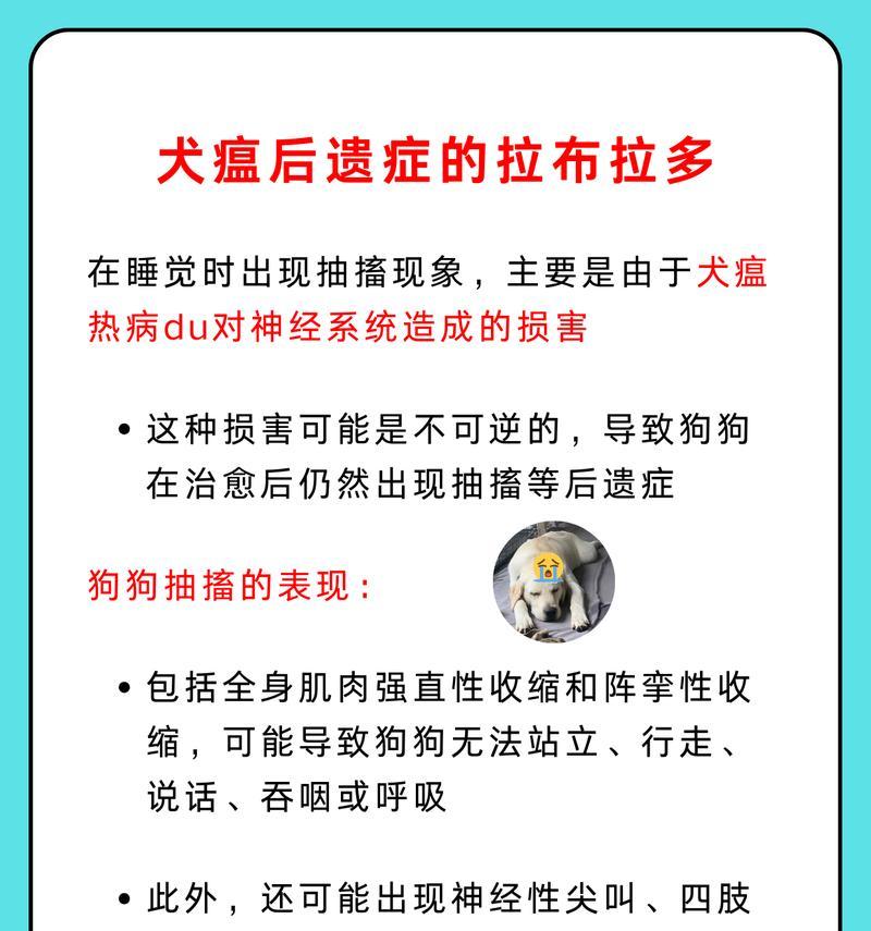犬瘟热引发的抽搐持续时间与治疗方法（犬瘟热抽搐时长及应对策略详解）