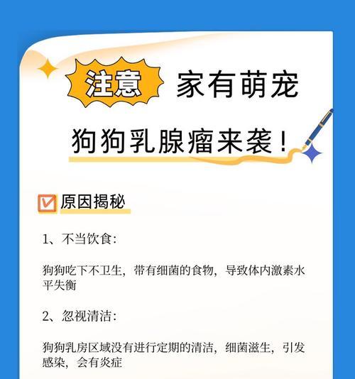 狗乳腺异常肿胀的诊断和治疗（如何帮助狗狗应对乳腺肿胀问题）