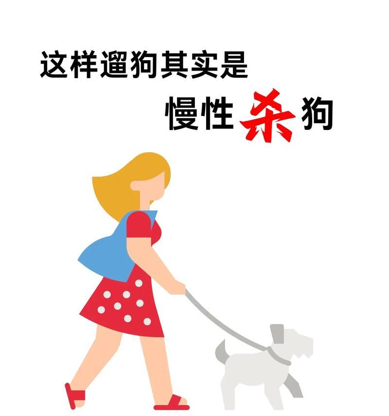 遛狗之道（探究哈士奇的遛狗时间和注意事项）