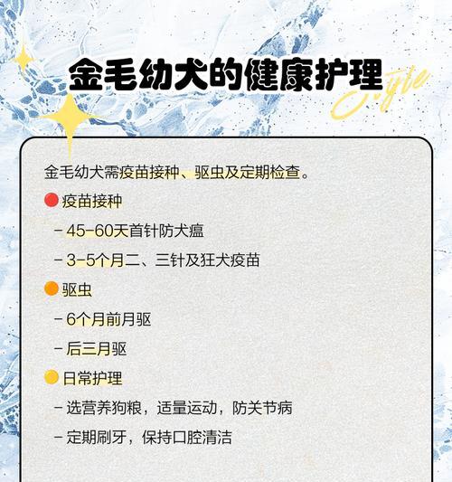 金毛犬除虫频率（金毛犬的除虫周期、选择合适的除虫方法和注意事项）