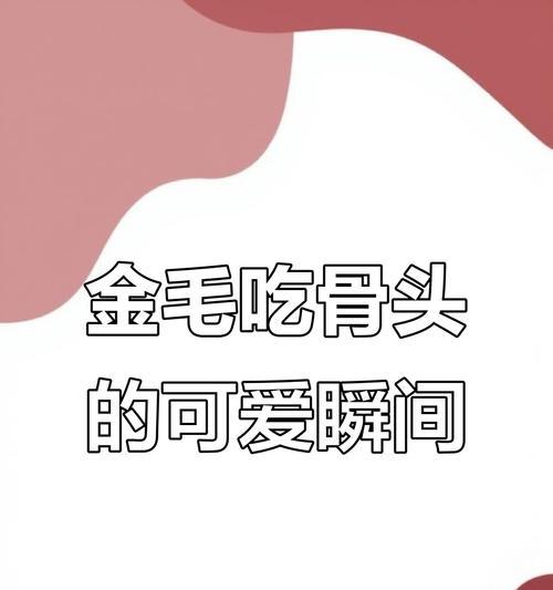 金毛犬消化骨头需要多长时间？（金毛犬消化骨头速度及注意事项）