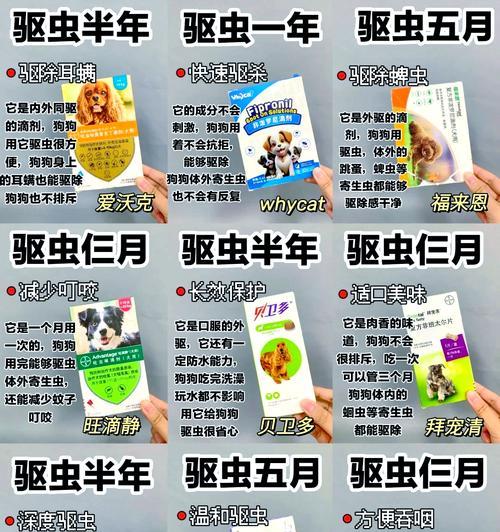 狗狗驱虫的重要性及操作方法分享（为什么要给狗狗进行驱虫？狗狗体外驱虫的注意事项与方法）
