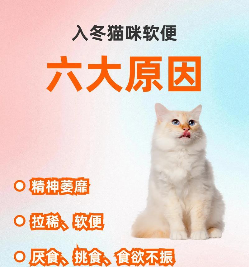 猫咪为什么出现软便？解析5个原因（探究猫咪软便的成因，了解如何解决问题）