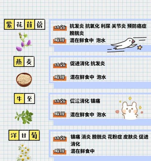 狗狗阵痛后多久生产（产程长度与准备工作）