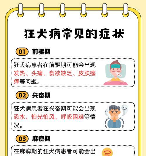 狗咬人需多久打针？（了解狗咬后的处理时间，保护自己的健康安全）