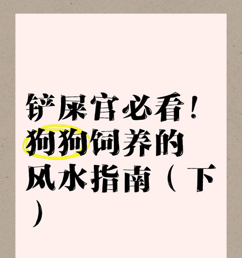 家庭不适合养狗的五大原因（如何判断家庭是否适合养狗？）