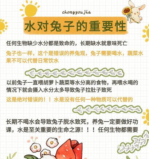小心！这些东西绝对不能给兔子吃！（保护宠物兔子的健康，从饮食开始）