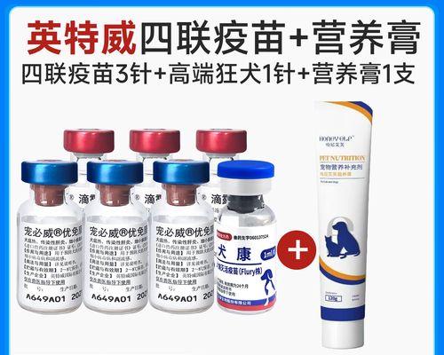 狗狗疫苗的有效期长达多久？（探究狗狗疫苗有效期的关键要素和延长方法）