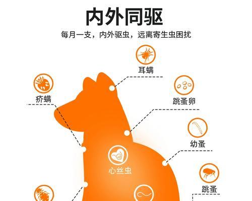 狗狗体内外驱虫（-狗狗体内外驱虫、合理定期时间）
