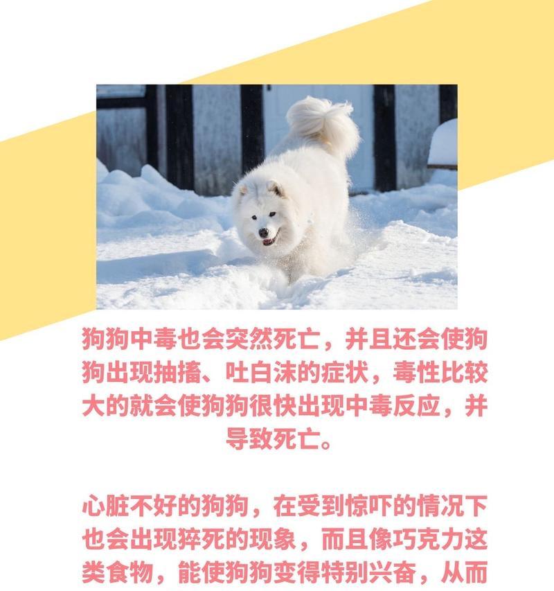 犬瘟晚期犬只生存期有限（犬瘟晚期的临床表现及死亡时间预测）