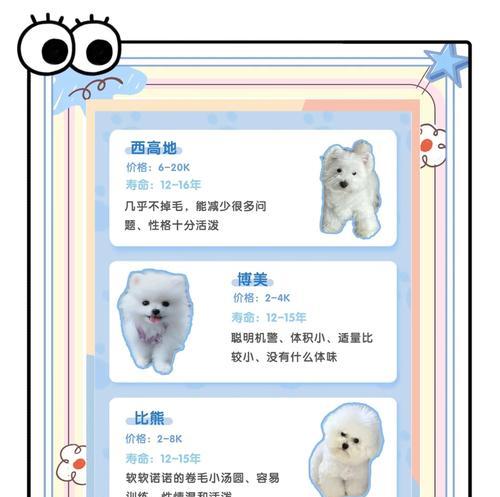 容易上手的轻体味犬种推荐（适合新手饲养的狗狗，陪伴生活更加舒适）