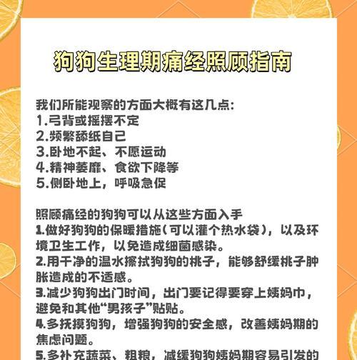 狗狗大姨妈周期和表现一览（了解你的毛孩大姨妈，关爱她的健康）