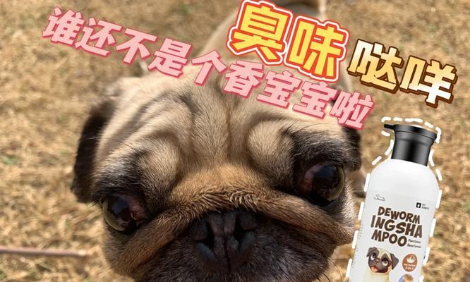 以巴哥打完疫苗多久可以洗澡？（以巴哥疫苗接种后的洗澡时间规定）
