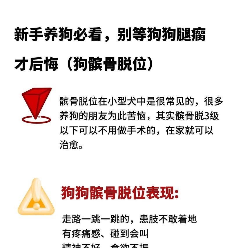 新手第一次养狗宠物需要注意什么？（选择适合的狗种，以及培养良好的习惯）