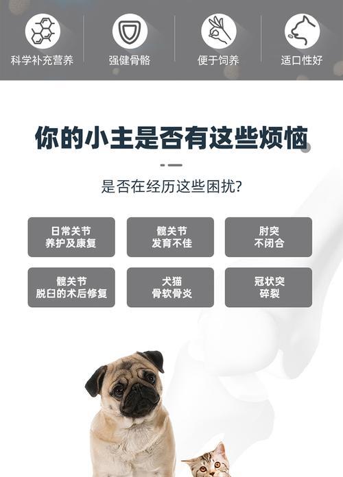 金毛犬的骨骼生长周期（了解金毛犬的骨骼发育过程，保证它们健康成长）