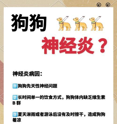 狗狗神经炎的紧急救治方法（狗狗肌肉疼痛抽搐的神经炎救治方法）