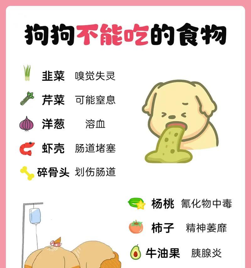 小狗吃了这些东西会有生命危险！（了解关键食物，守护爱宠的健康。）