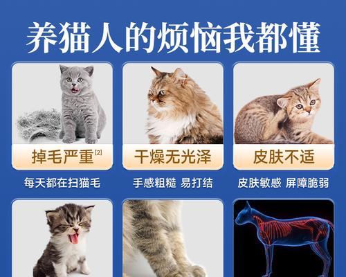 狗狗能吃鱼肝油吗？（作用大不大？看这篇全面解析）