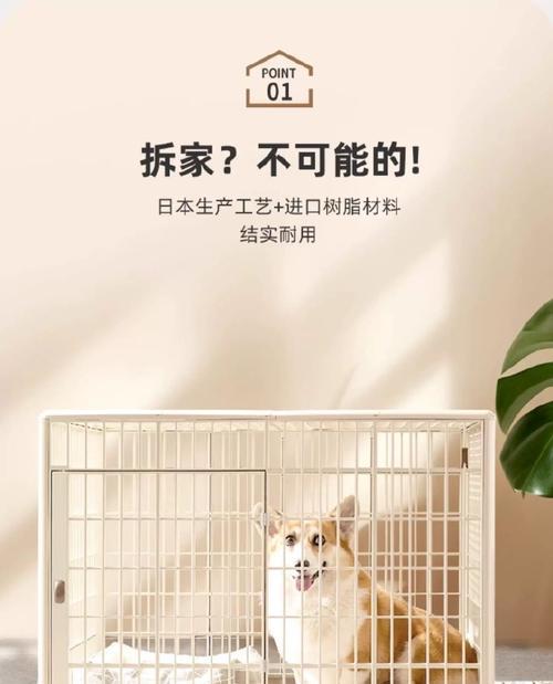 以穷养篇（了解养雪耐瑞每月需要的经济负担）