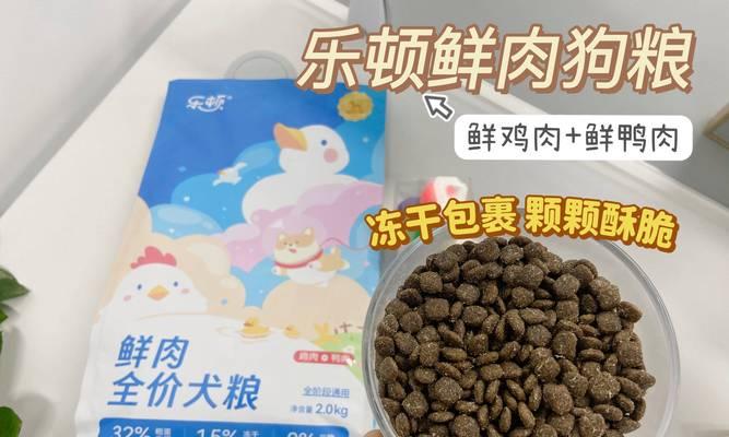 成年狗狗的饮食频率（了解狗狗饲养中的关键）